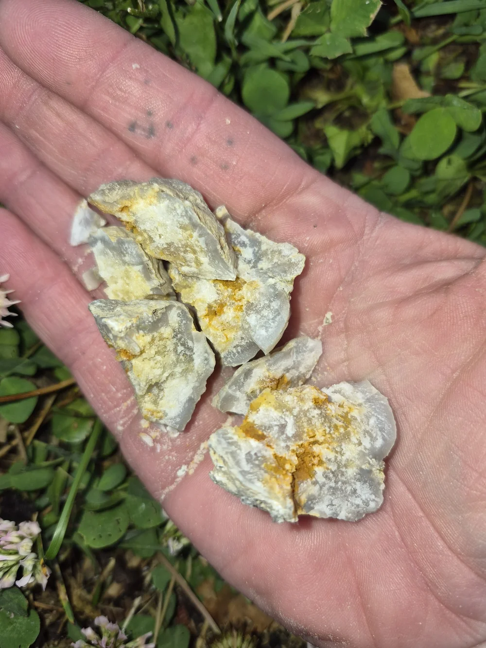 Raw Natural And Uncut Crystals And Fossils